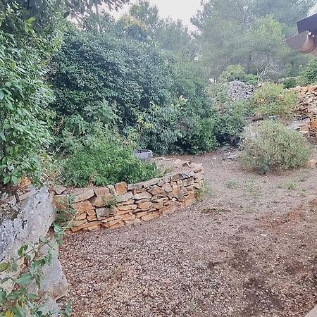 Maisonnette Chez L'Habitant La Ciotat Esterno foto
