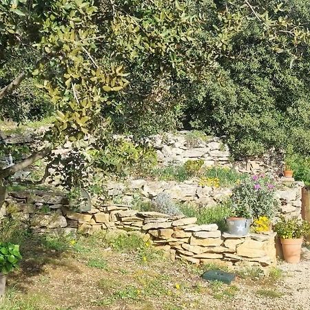 Maisonnette Chez L'Habitant La Ciotat Esterno foto
