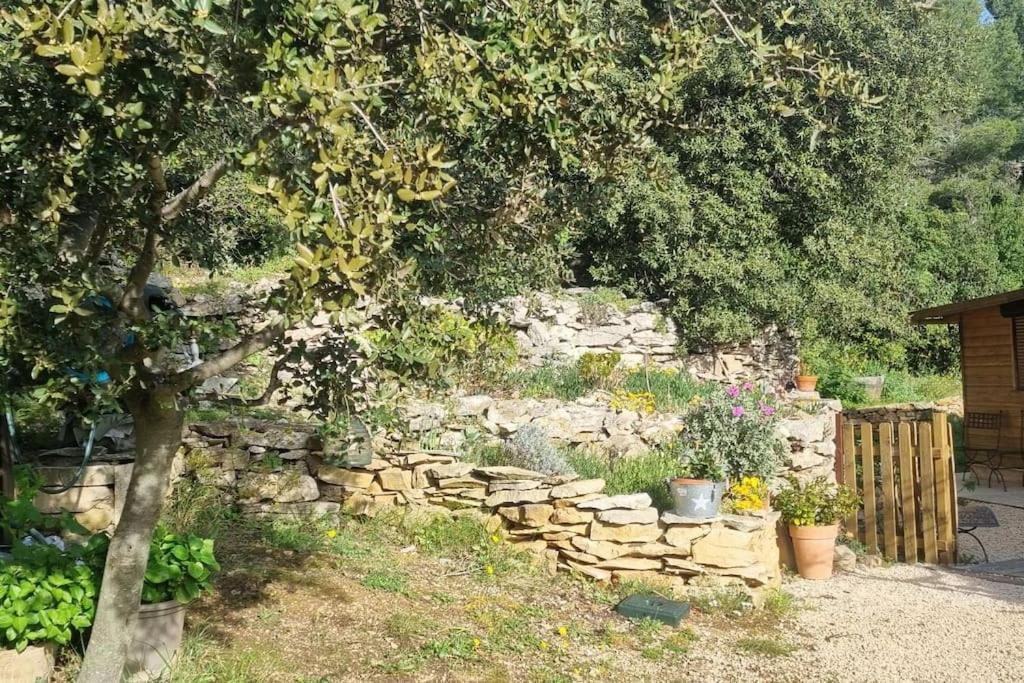 Maisonnette Chez L'Habitant La Ciotat Esterno foto